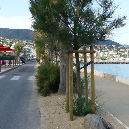 Studio Cosy Avec Tv Et Cuisine Equipee, Bord De Mer Le Lavandou - Fr-1-308-34 Εξωτερικό φωτογραφία